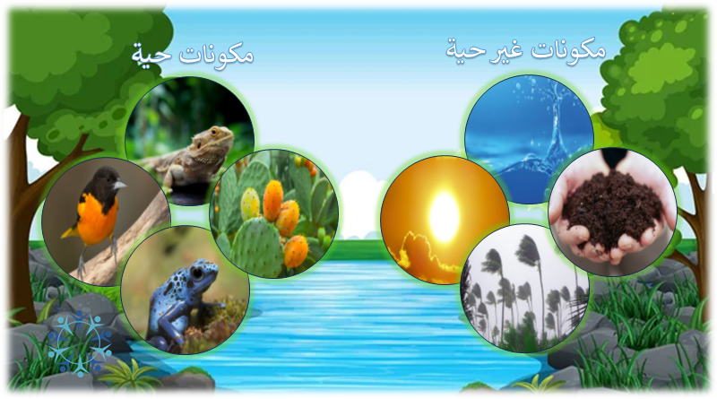 مكونات النظام البيئي مكونات النظام البيئي